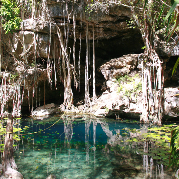 Visitar el Cenote X’batún en Yucatán 